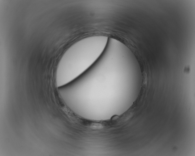 X0000112960519200908270922