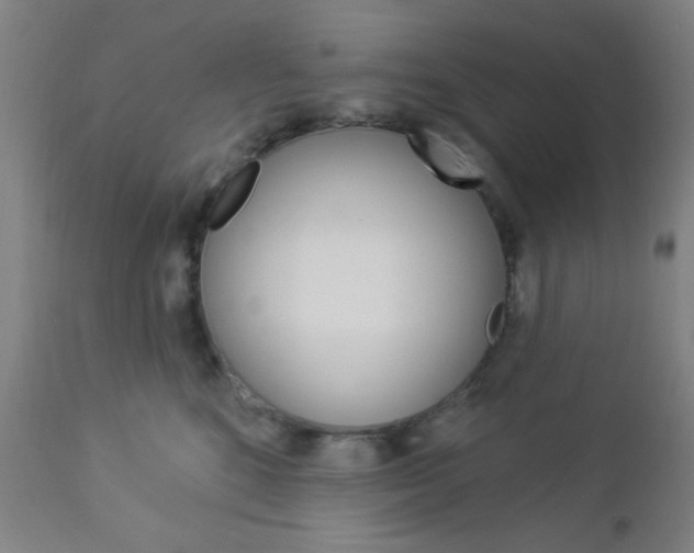 X0000112960520200908270922