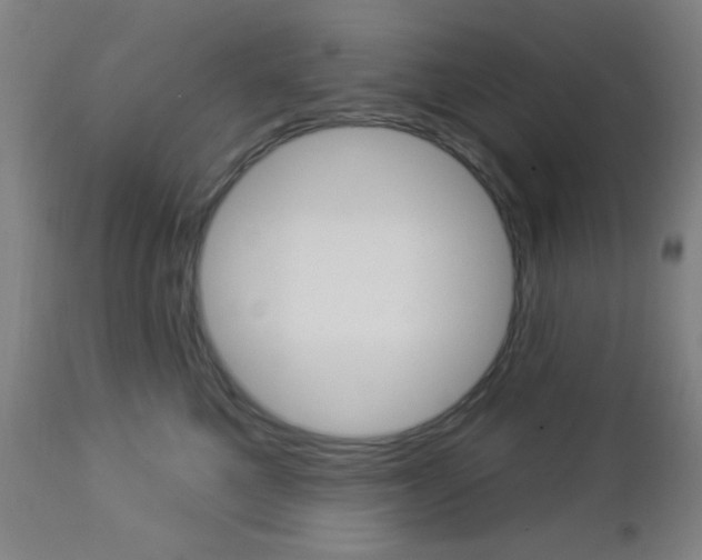 X0000112960521200908270922
