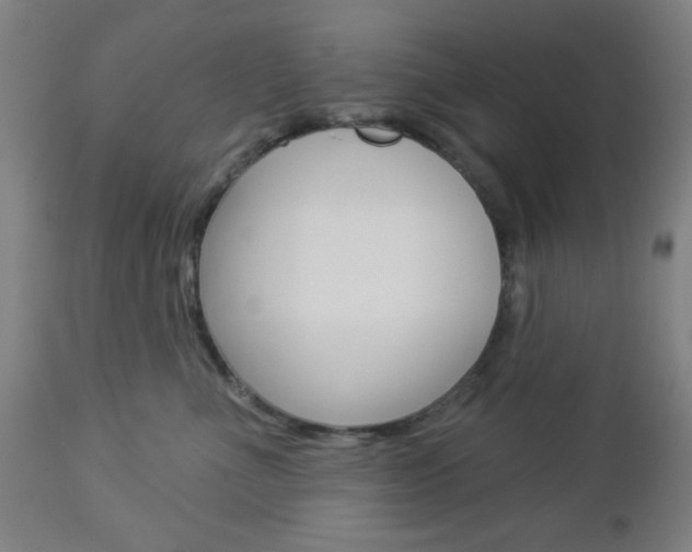 X0000112960523200908270922