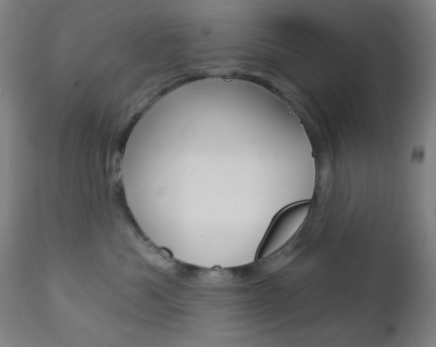 X0000112960525200908270922