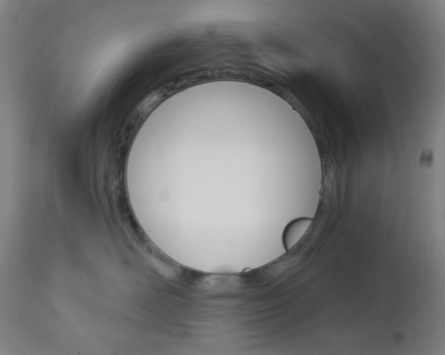 X0000112960526200908270922
