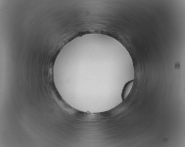 X0000112960527200908270922