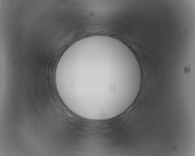 X0000112960528200908270922