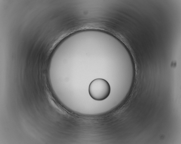 X0000112960530200908270921