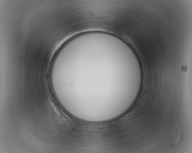 X0000112960532200908270921