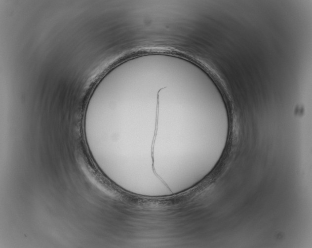 X0000112960533200908270921