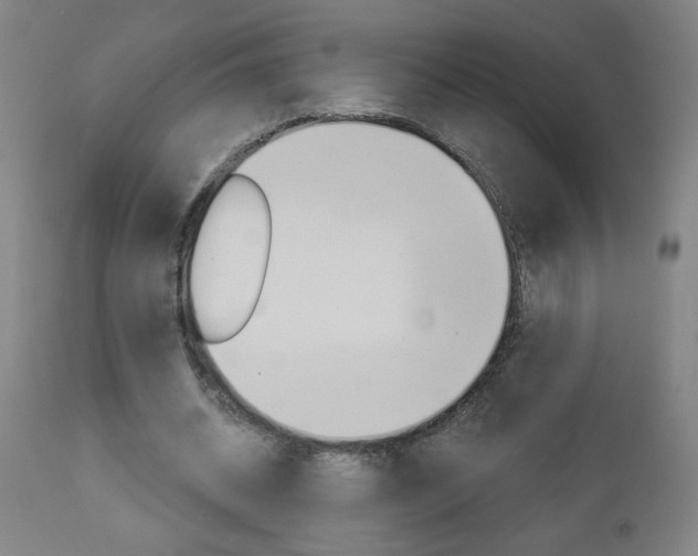 X0000112960534200908270921