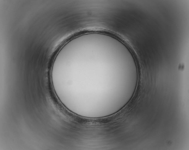 X0000112960535200908270921