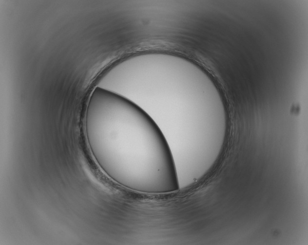 X0000112960538200908270922