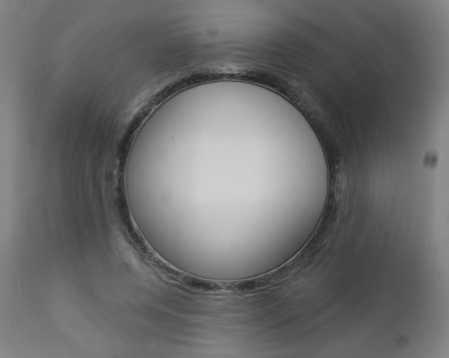 X0000112960544200908270922