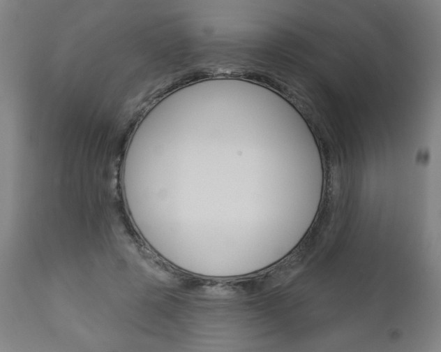 X0000112960545200908270922