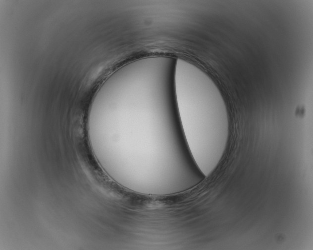 X0000112960547200908270922