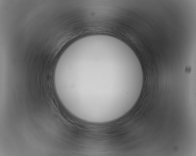 X0000112960548200908270922