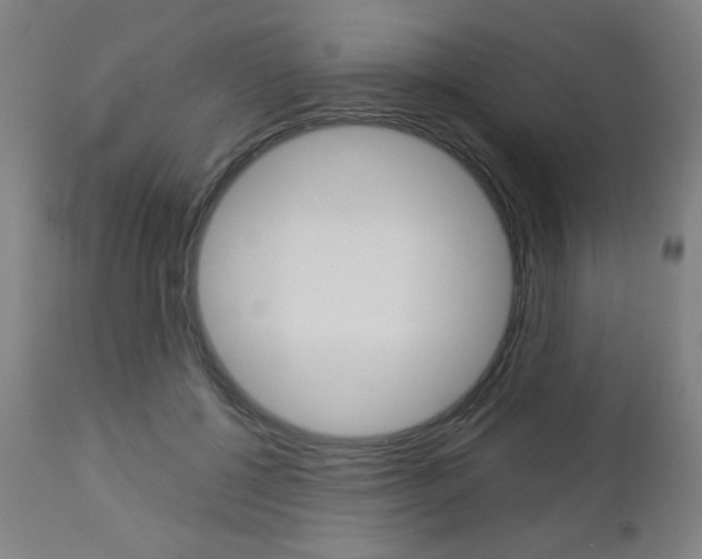 X0000112960552200908270922