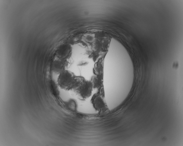 X0000112960553200908270922