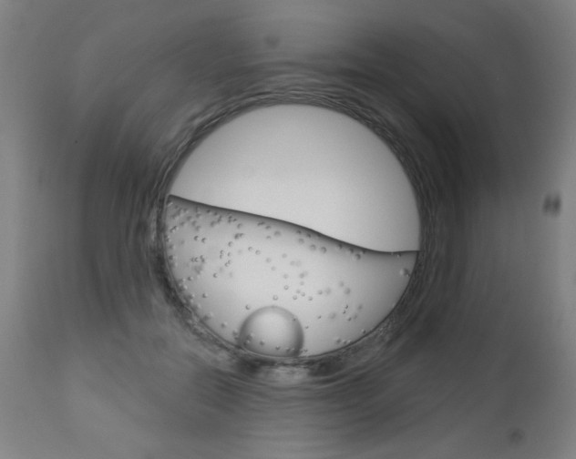 X0000112960554200908270922