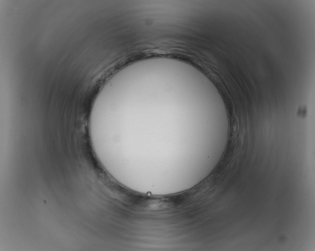 X0000112960555200908270922