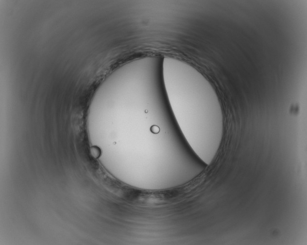 X0000112960559200908270922