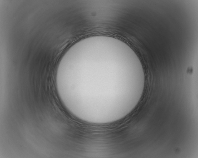X0000112960560200908270922