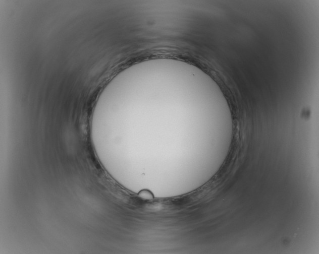 X0000112960561200908270922