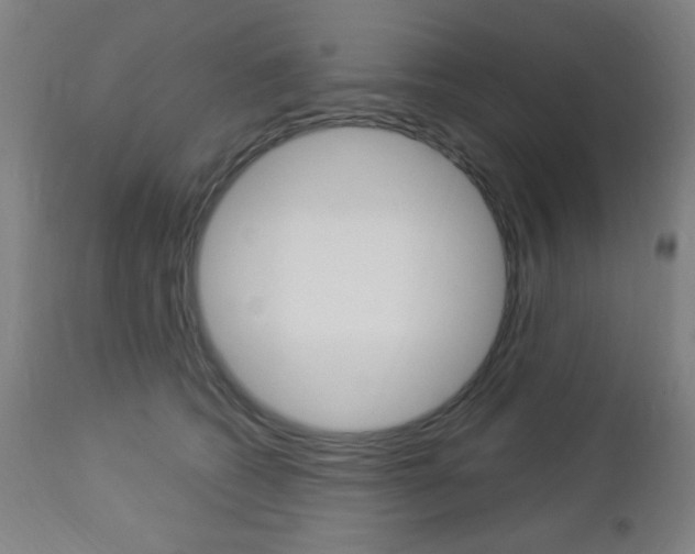 X0000112960562200908270922