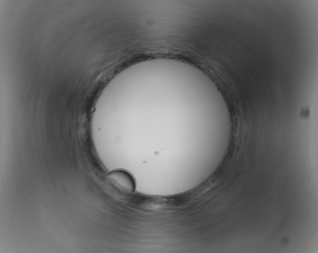 X0000112960563200908270922