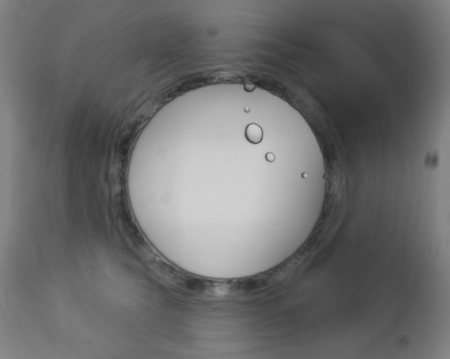 X0000112960565200908270922