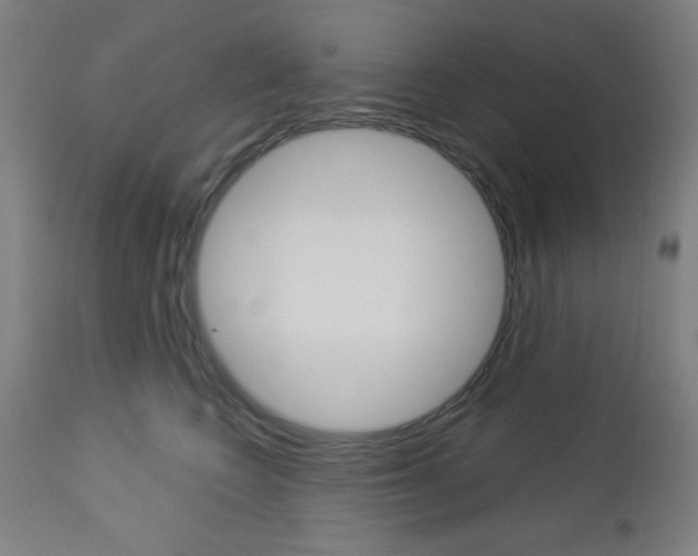 X0000112960566200908270922