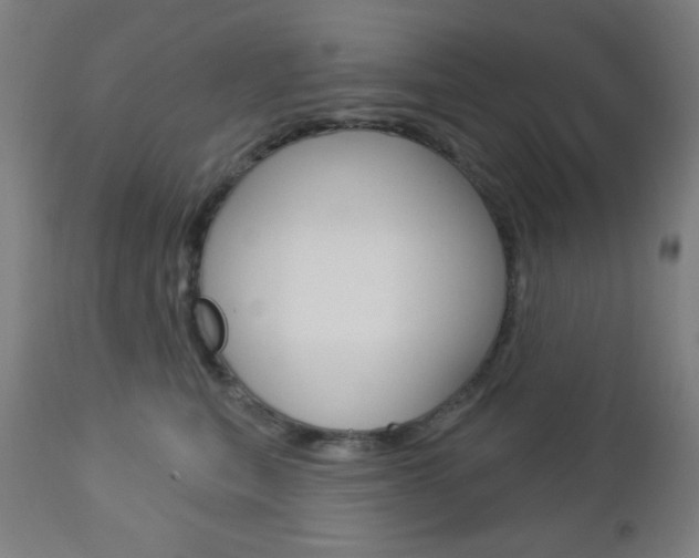 X0000112960567200908270922