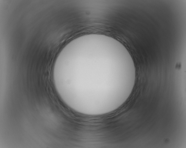X0000112960568200908270922