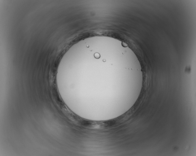 X0000112960569200908270922