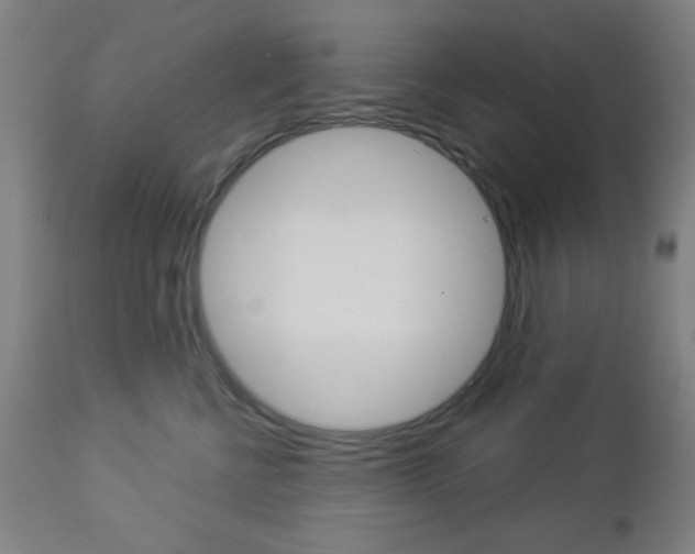 X0000112960570200908270922