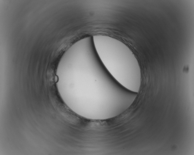 X0000112960571200908270922
