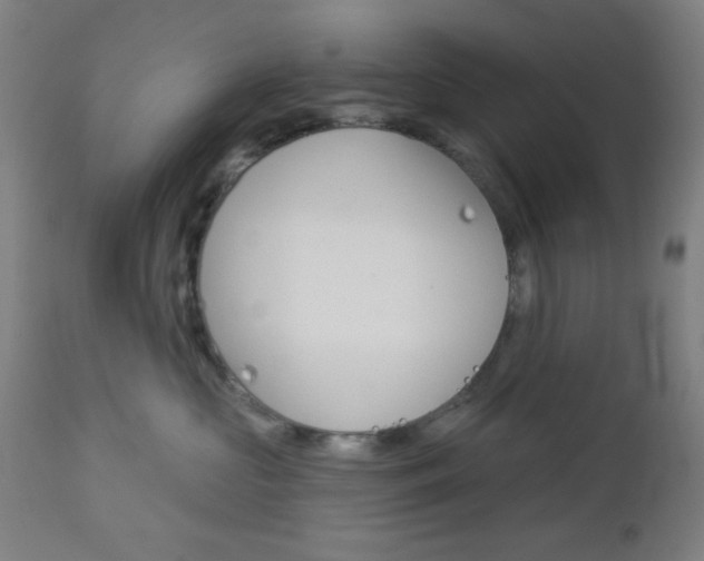 X0000112960573200908270922