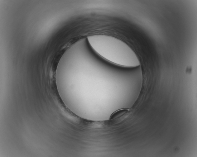 X0000112960574200908270922