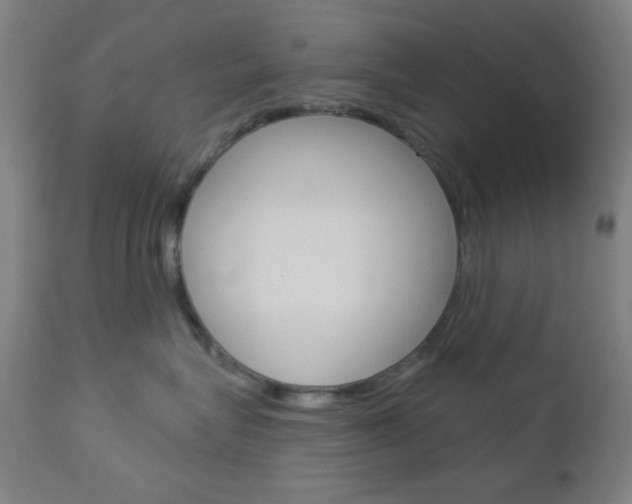 X0000112960575200908270922