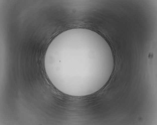 X0000112960576200908270922