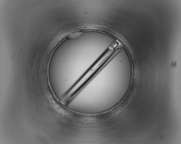 X0000112960577200908270921
