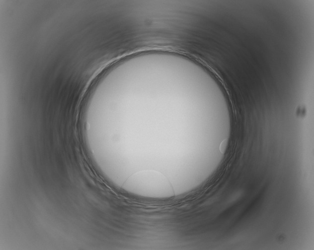 X0000112960579200908270921