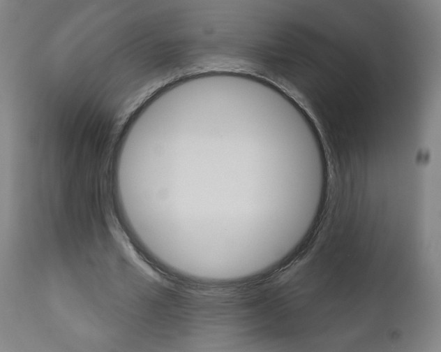 X0000112960581200908270921