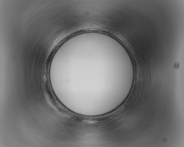 X0000112960582200908270921