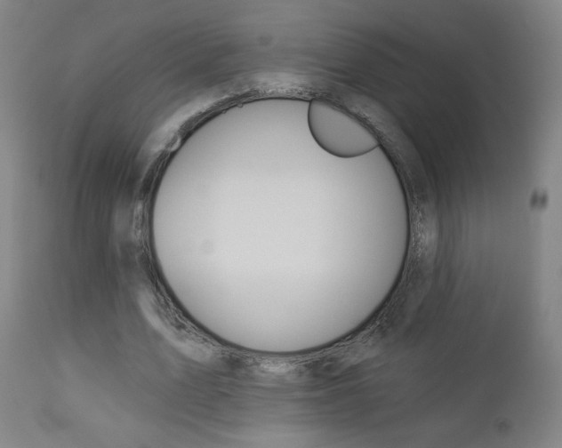 X0000112960583200908270921