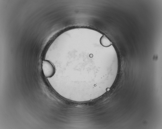 X0000112960584200908270921