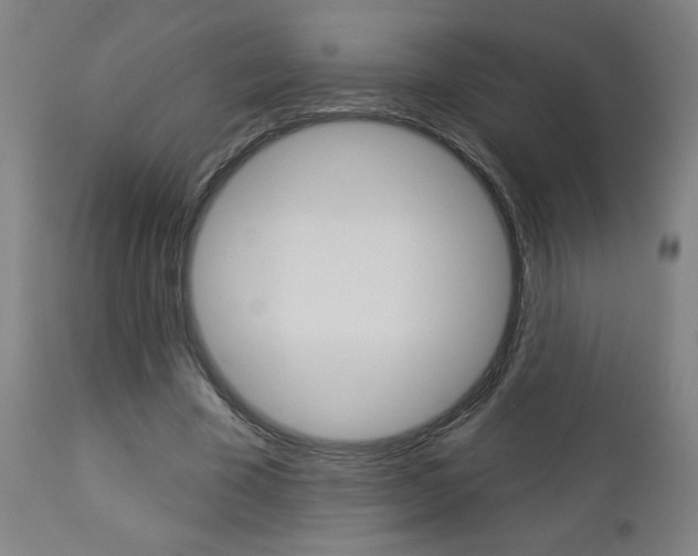 X0000112960585200908270921