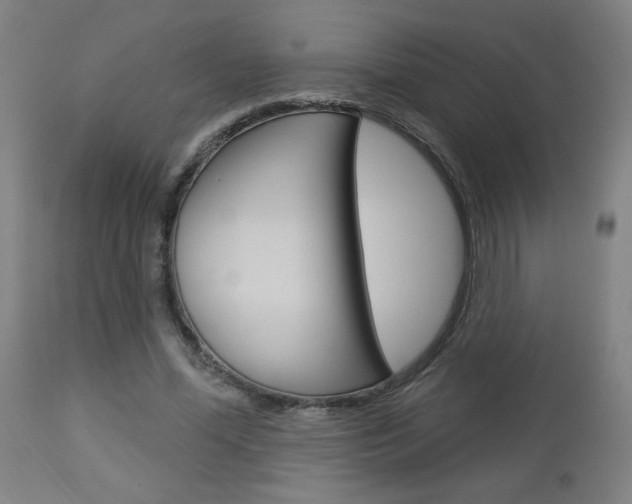 X0000112960588200908270921