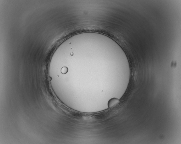X0000112960591200908270921
