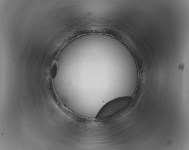 X0000112960593200908270921