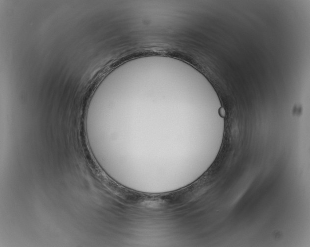 X0000112960595200908270921