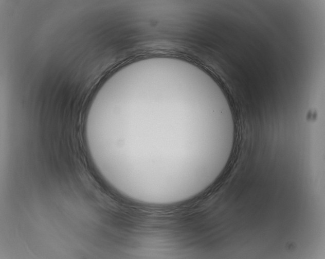 X0000112960597200908270921